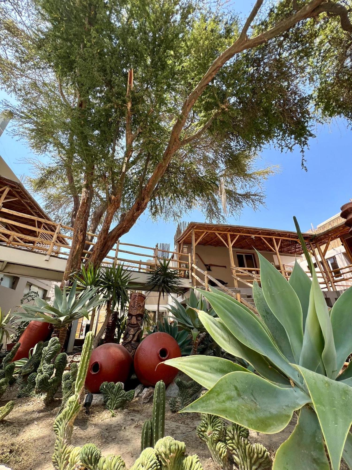 Hotel El Huacachinero อิกา ภายนอก รูปภาพ